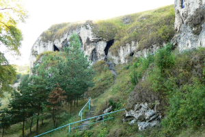 Рукомиш